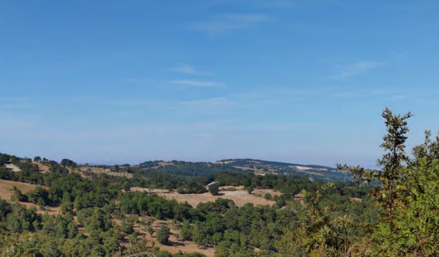 Yönetiminde eski bakan da var... Kuşların göç rotasına RES!