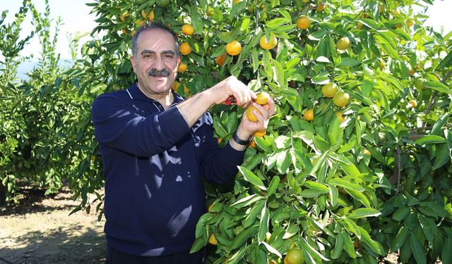 Başkan Uçak, tarla-market ilişkisini yorumladı: Suçlu hava, havayı yapan Allah, Allah’ı da suçlayamayız!