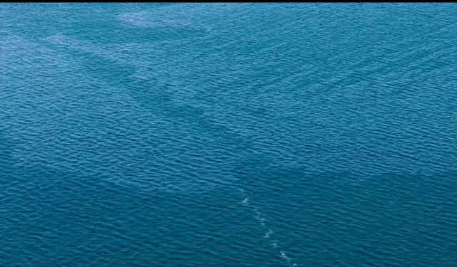 İzmir Körfezi'nde çevre felaketi!