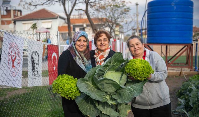 Bornova’da Kent Bostanlarında hasat zamanı
