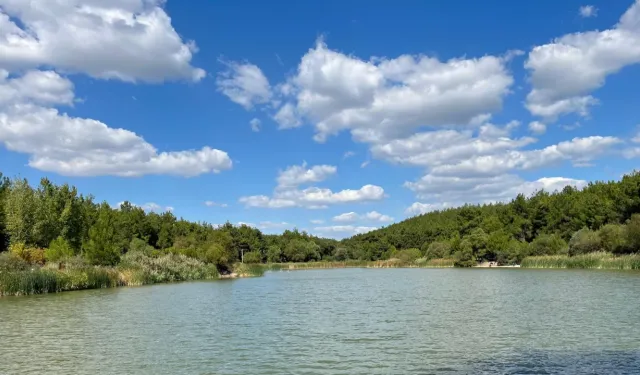 İzmir'in doğal cenneti 20 yıllığına kiralanıyor!