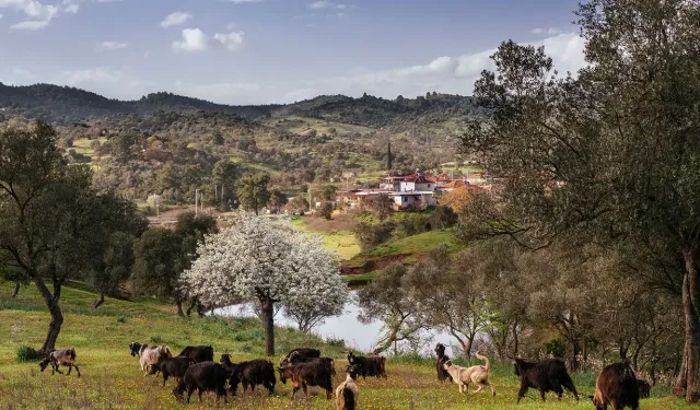Orhanlı Vadisi'ndeki JES'e bilirkişiden rest... Gözler mahkeme kararında!