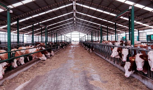 İzmir’de icradan satılık ahır!