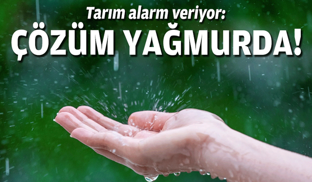 Tarım alarm veriyor: Çözüm yağmurda!