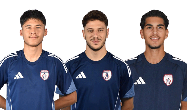 Altınordu'da 3 bilet kesildi