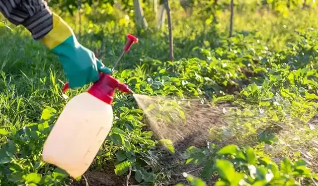 'B-Reçete' uygulaması başlıyor: Bitkiye ilaç artık reçeteyle alınacak