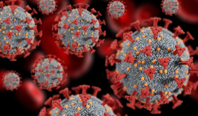 Ağır solunum sıkıntısına yol açabilir... Bocavirüs alarmı!