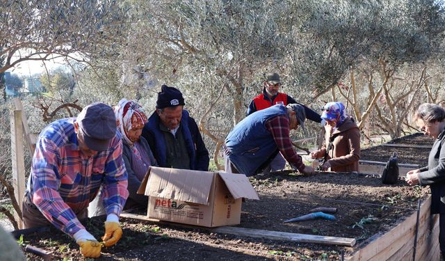 Menderes’te salep umudu