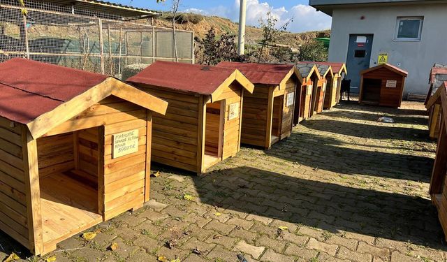 Seferihisar’da can dostlar için destek kampanyası