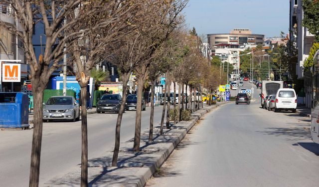 Buca’nın refüjleri yenileniyor