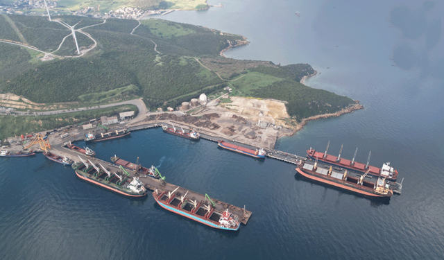 Habaş'ın planı askıda... Orman gitti, liman geldi!