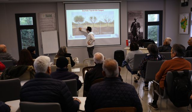 Selçuk'ta zeytin budama eğitimi!