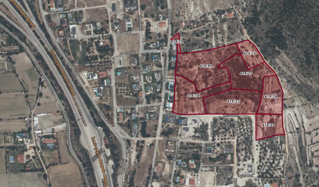 Turistik ilçede rezerv alan planı... Ağaçlandırılacak alan gitti, konut geldi!