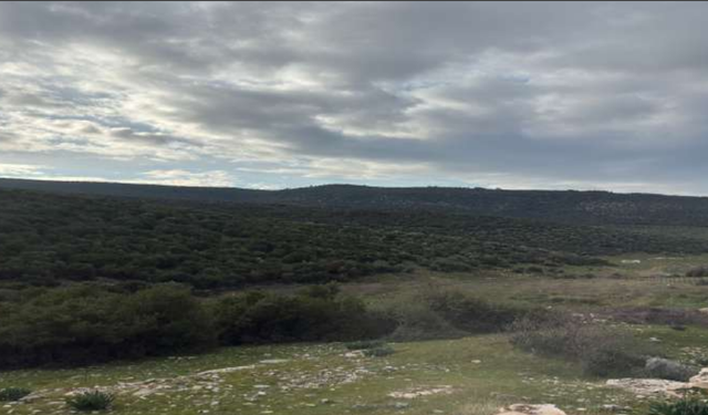 Bakanlık'tan dönmüştü... Çimento devinden ocak ısrarı!