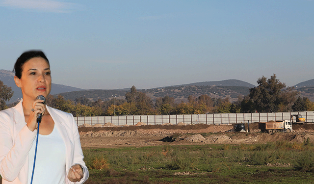 Efes'teki çalışmaya Sengel'den tepki: Tarihin kalbine beton projesi!