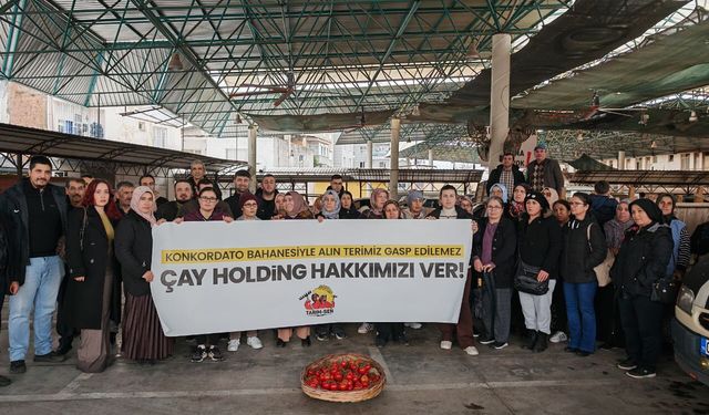 Aydın'da sera işçilerinden Çay Holding'e tepki!