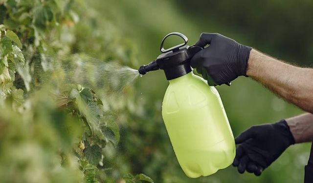 Gübre ve ihracat işindeydiler… İflas bayrağı çektiler!