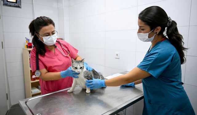 Bornova'da can dostlara yardım eli!