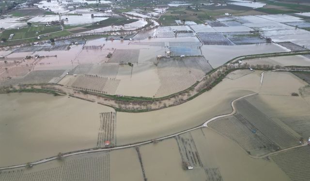 Gediz Nehir taştı, ova su altında kaldı!