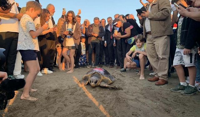 Caretta caretta 'Cumhuriyet'i 10 bin kişi izledi