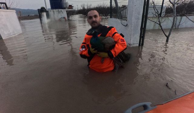 İzmir İtfaiyesi canlar için zamanla yarıştı