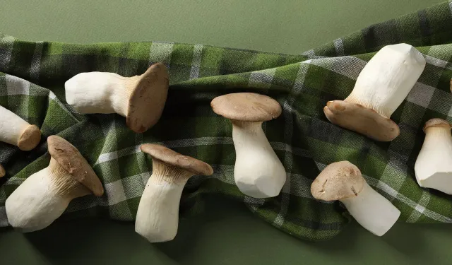 İnternette şifalı mantar dolandırıcılığı