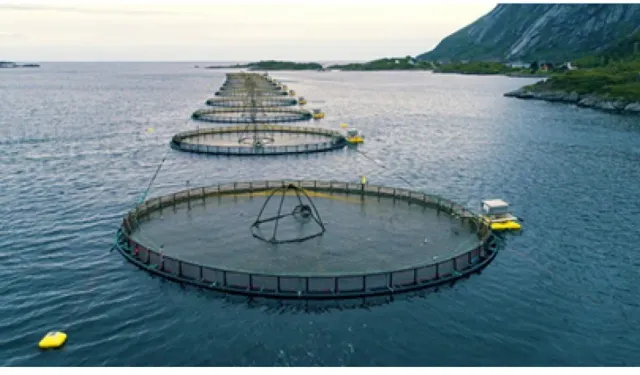 Rekabet Kurulu'ndan İzmirli firmaya 8 milyonluk ceza!