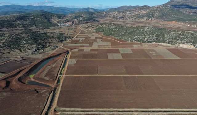 Yargıtay'dan ortak tapulu arsalar için emsal karar