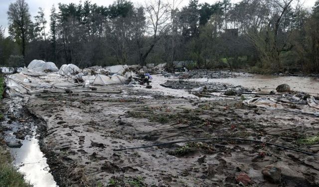 Muğla'da hasar tespiti açıklandı