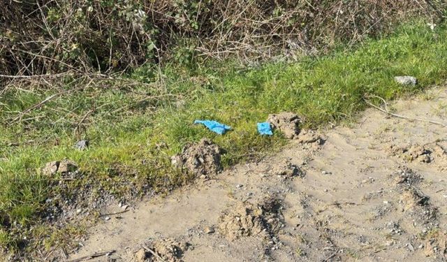 Çinli iş insanı İstanbul'da öldürüldü: Şüpheliler Çin'de yakalandı!