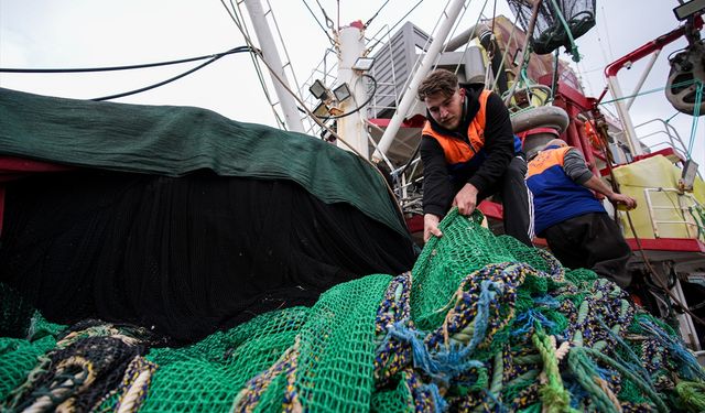 Egeli balıkçılar sezonun kalanından umutlu!