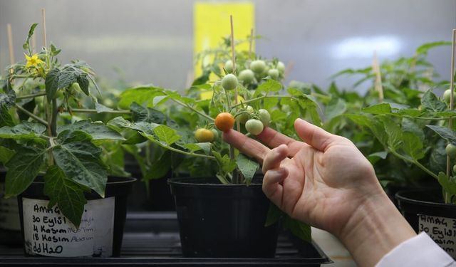 İzmir'de uzay kolonileri için kritik deney!