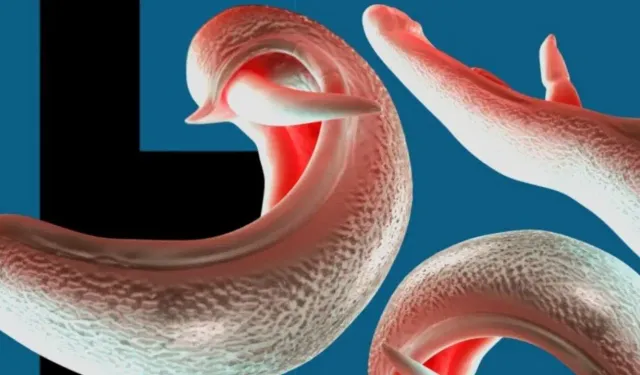 DSÖ’den korkutan uyarı: Cinsel organlara yerleşen 'melez' parazit kıta değiştiriyor!