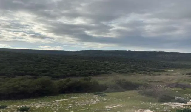 Çimento devine ikinci zeytin vetosu!