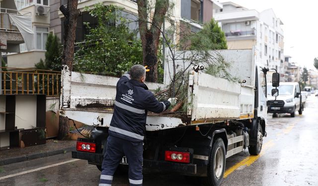 Efeler’in yeşil alanlarına Büyükşehir imzası
