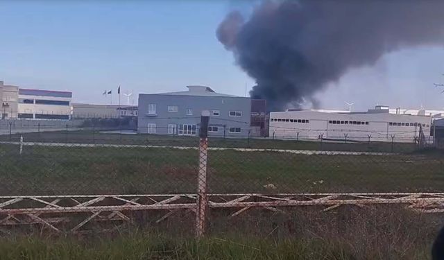 Oyuncak fabrikasında korkutan yangın!