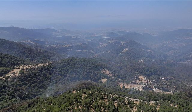 “Yanan alanlar ranta açıldı” iddiasına açıklama!