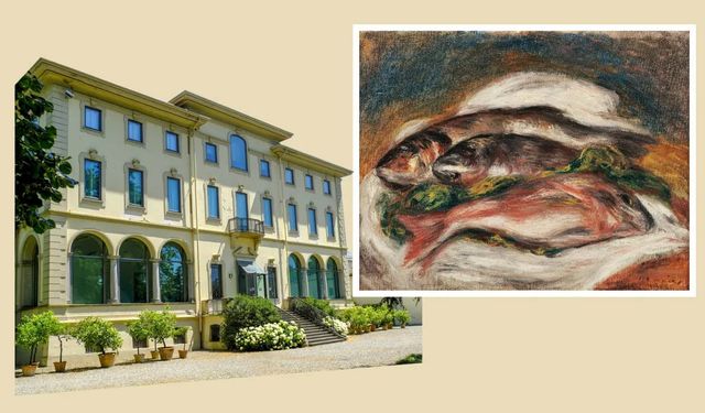 3 dakikada 9 milyon euroluk müze soygunu!