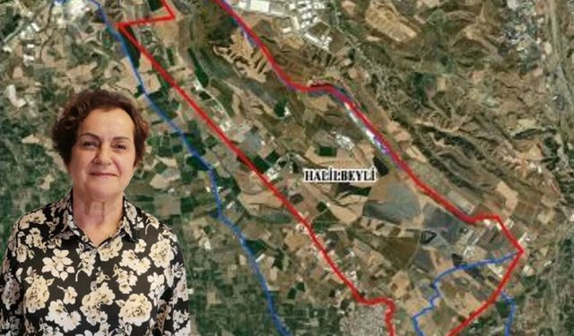 Av. Şehrazat Mercan’dan ‘Kemalpaşa’ uyarısı: Meclisin görevi matematik değildir!