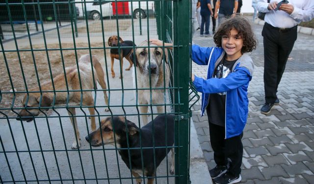 3 belediyeden 'can dostlar' için örnek iş birliği!