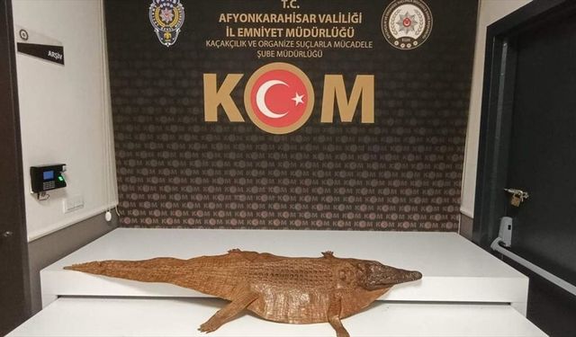 Afyonkarahisar'da timsah derisi ele geçirildi