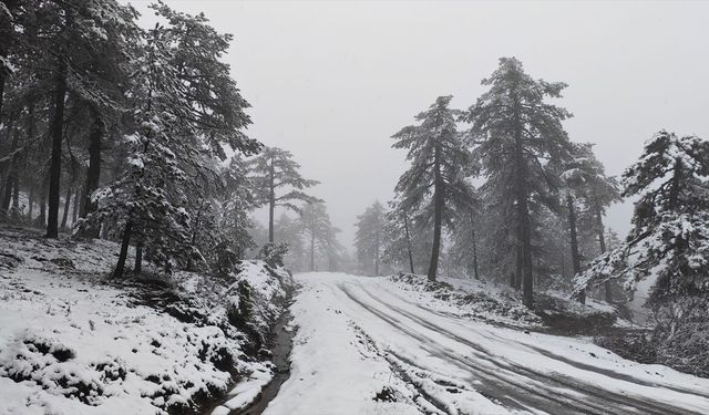 Kar sürprizi: Demirci beyaza büründü