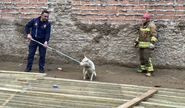 Pamuk’un imdadına itfaiye yetişti