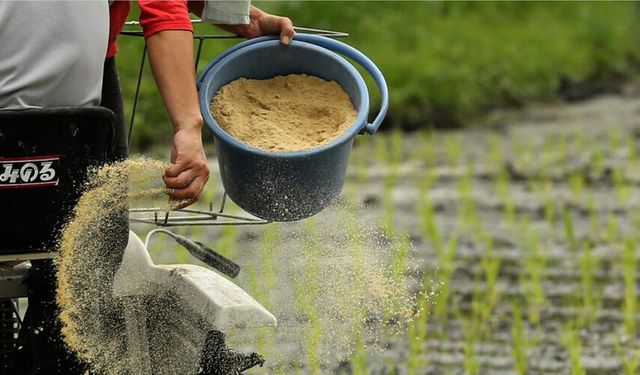 Savaşın gölgesi tarlada: “Yüzde 95 dışa bağımlıyız”