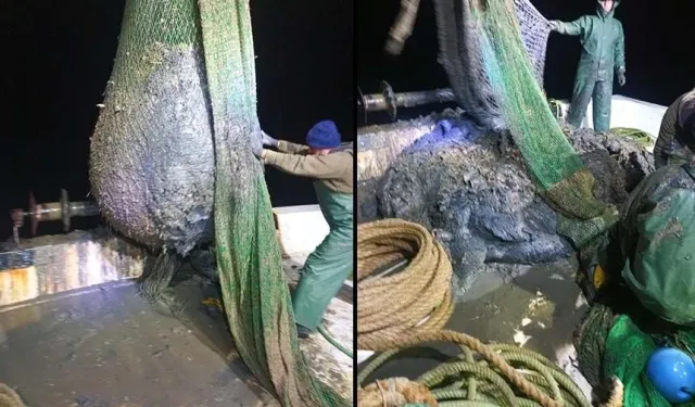 Foça'da çamur skandalı... Tugay firmayı savundu!