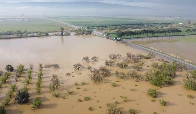 Büyük Menderes Nehri taştı: Tarım arazileri sular altında!