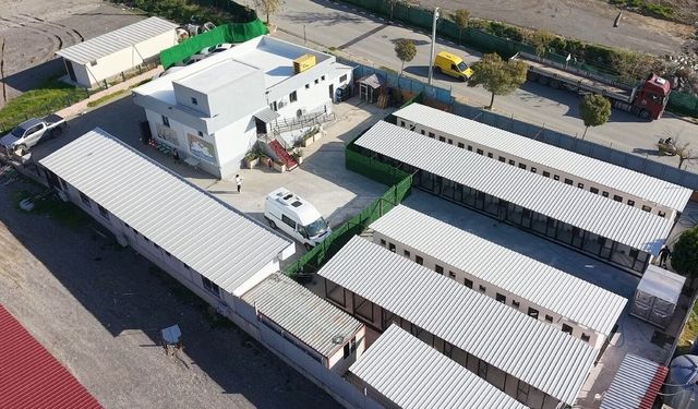 Bayraklı’daki hayvan bakımevinde kapsamlı yenileme