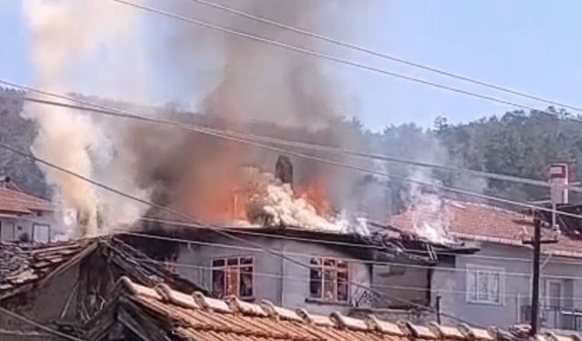 Köyde korkutan yangın