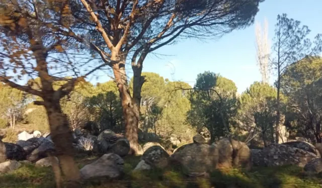 Kozak'a dinamit girişimi halka sorulacak!