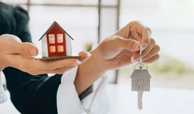 Sektör temsilcisinden çarpıcı iddia: Korsan emlakçı avukatlar!